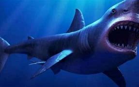 Ikan Hiu Megalodon Terbesar Di Dunia